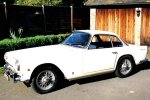 Vignale No.022