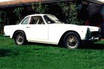 Vignale Nr.040