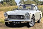 Vignale Nr.046