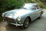 Vignale Nr.061