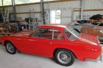 Vignale Nr.073