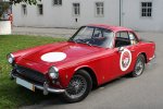 Vignale Nr.203
