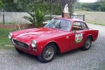 Vignale Nr.214