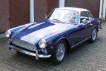 Vignale Nr.224