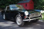 Vignale Nr.253