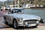Vignale Nr.264