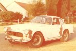 Vignale Nr.281
