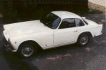 Vignale Nr.311