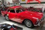 Vignale Nr.312