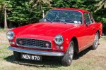Vignale Nr.315