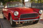 Vignale Nr.316