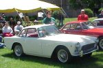 Vignale Nr.317