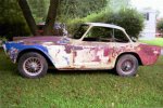 Vignale Nr.322